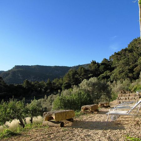 Mirabo De Valldemossa Kültér fotó